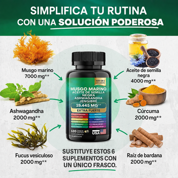 Sea Moss + Black Seed Oil + Ashwagandha – Suplemento Natural Todo en Uno